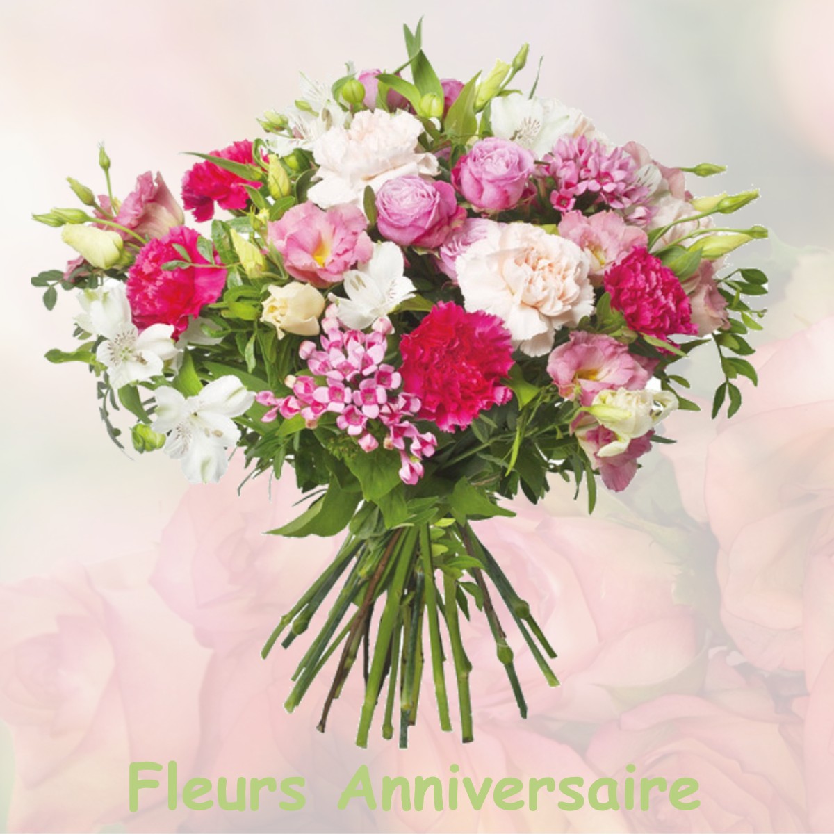 fleurs anniversaire MONTBRAS