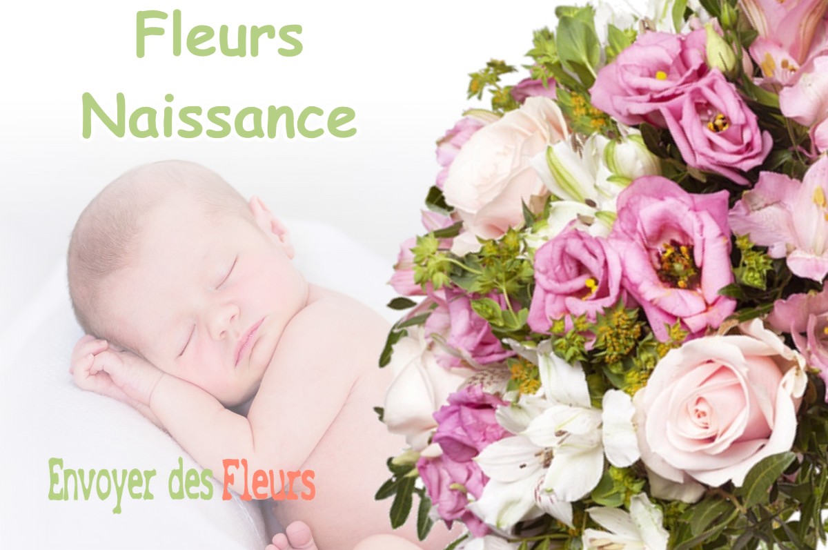 lIVRAISON FLEURS NAISSANCE à MONTBRAS